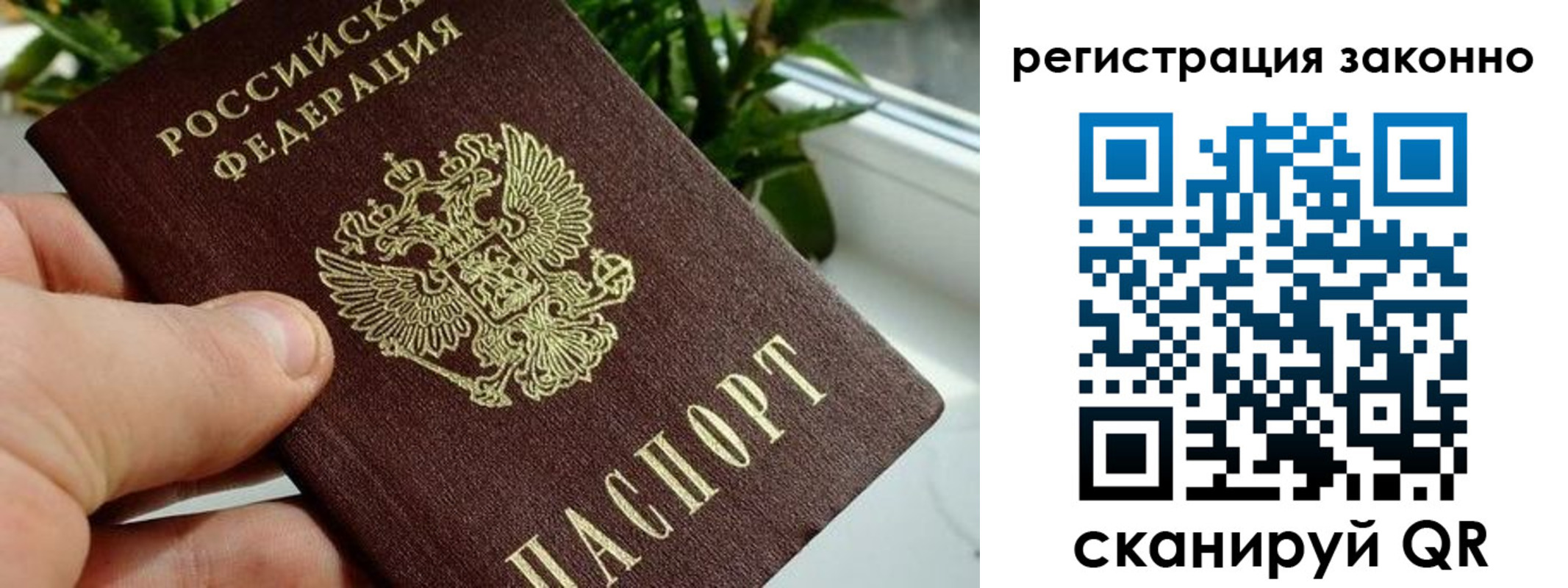 прописка гарантия в Звенигово